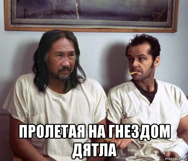  пролетая на гнездом дятла, Мем Я хотя бы попробовал