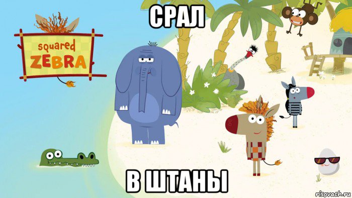 срал в штаны, Мем Зебра в клеточку