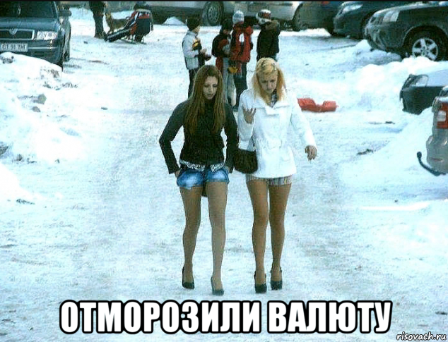  отморозили валюту, Мем Животные
