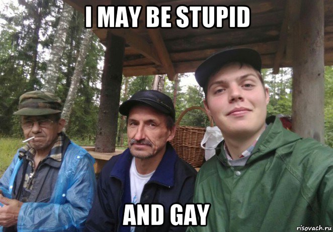 i may be stupid and gay, Мем 3546в