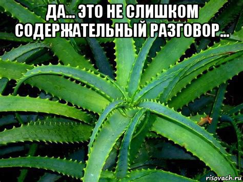 да... это не слишком содержательный разговор... , Мем Алоэ