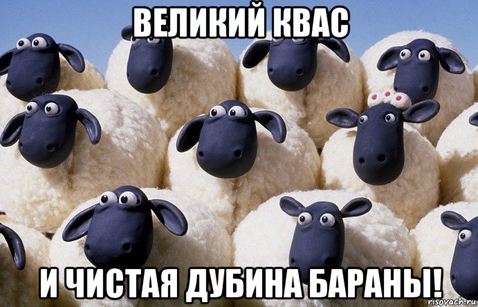 великий квас и чистая дубина бараны!, Мем Бараны