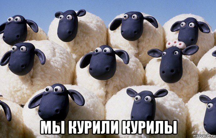  мы курили курилы, Мем Бараны
