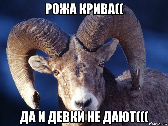 рожа крива(( да и девки не дают(((