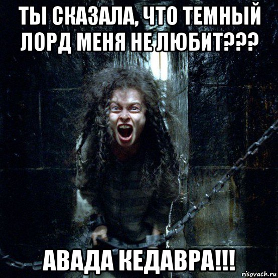ты сказала, что темный лорд меня не любит??? авада кедавра!!!