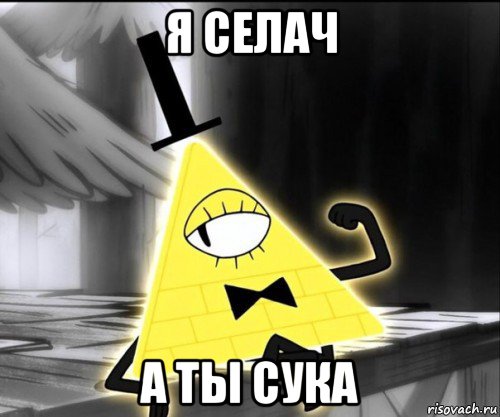 я селач а ты сука