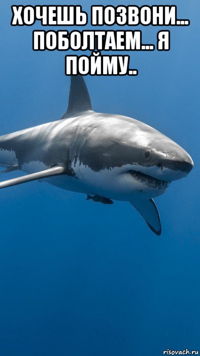 хочешь позвони... поболтаем... я пойму.. , Мем Большая white shark