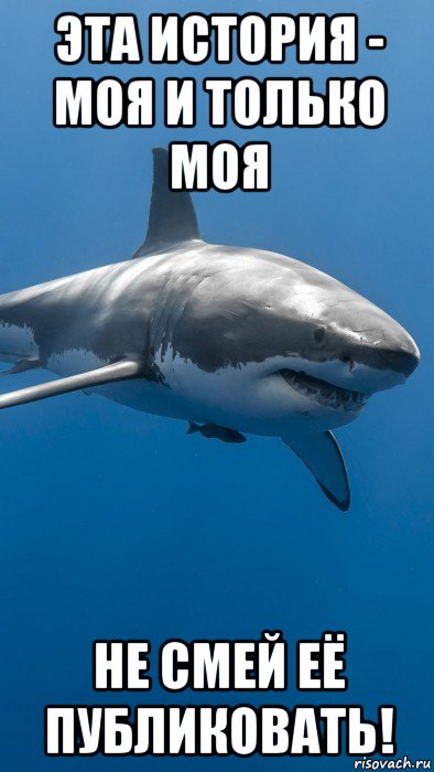 эта история - моя и только моя не смей её публиковать!, Мем Большая white shark