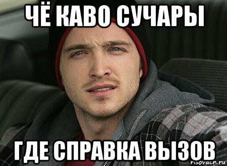 чё каво сучары где справка вызов