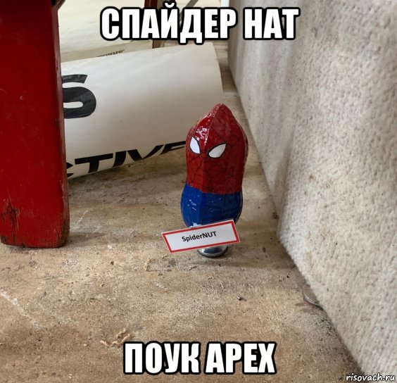 спайдер нат поук арех, Мем Человек паук