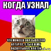 когда узнал что моисеев оказывается натурал, а ты к нему подкатывал, как гей