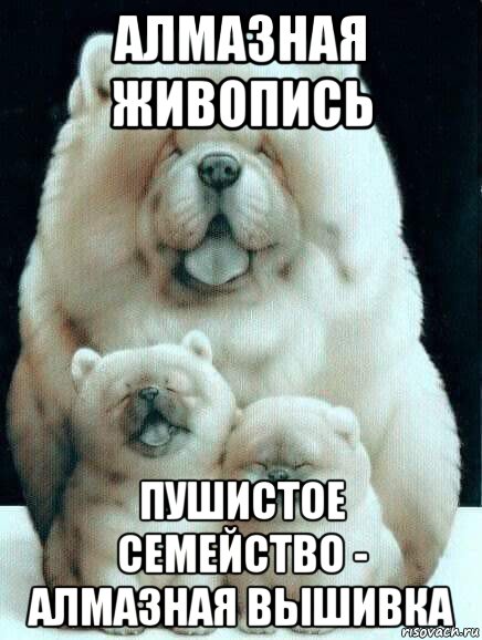 алмазная живопись пушистое семейство - алмазная вышивка, Мем Chow Chow family