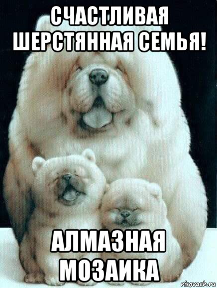 счастливая шерстянная семья! алмазная мозаика, Мем Chow Chow family