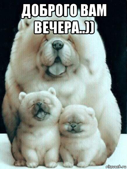 доброго вам вечера..)) 