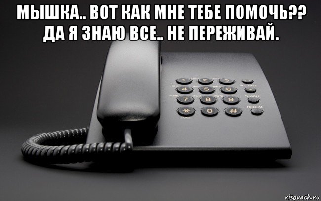 мышка.. вот как мне тебе помочь?? да я знаю все.. не переживай. , Мем Чёрный домашний телефон