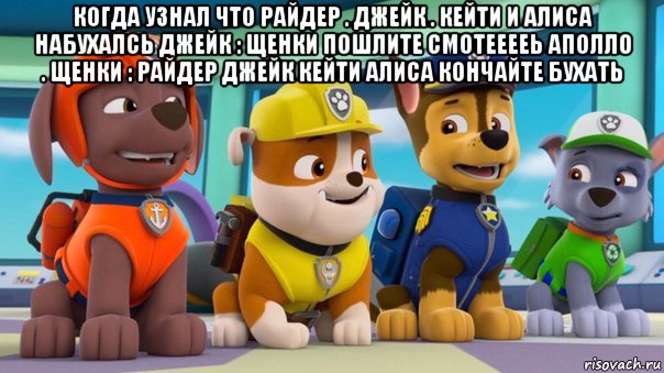 когда узнал что райдер . джейк . кейти и алиса набухалсь джейк : щенки пошлите смотееееь аполло . щенки : райдер джейк кейти алиса кончайте бухать 