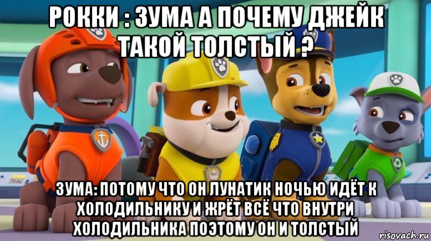 рокки : зума а почему джейк такой толстый ? зума: потому что он лунатик ночью идёт к холодильнику и жрёт всё что внутри холодильника поэтому он и толстый