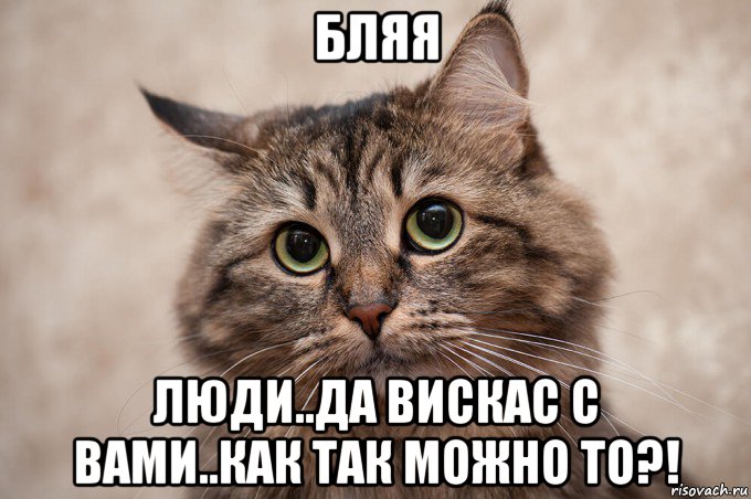 бляя люди..да вискас с вами..как так можно то?!, Мем Да ладно