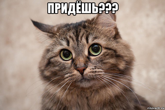 придёшь??? , Мем Да ладно