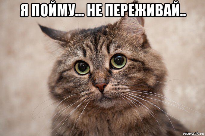 я пойму... не переживай.. , Мем Да ладно
