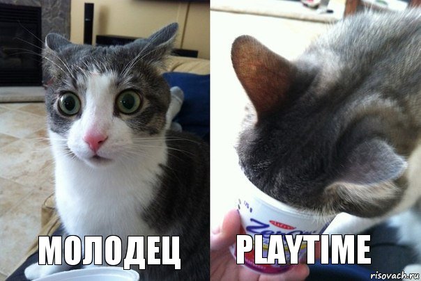 молодец playtime, Комикс  Да не бред-какой-то (2 зоны)