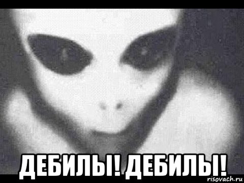  дебилы! дебилы!