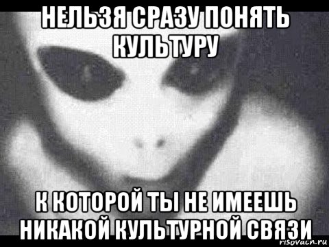 нельзя сразу понять культуру к которой ты не имеешь никакой культурной связи