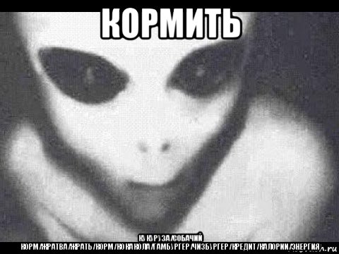 кормить кукуруза/собачий корм/жратва/жрать/корм/кокакола/гамбургер/чизбургер/кредит/калории/энергия, Мем Дебилы