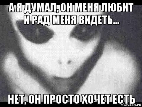 а я думал, он меня любит и рад меня видеть... нет, он просто хочет есть