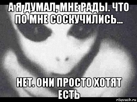 а я думал, мне рады. что по мне соскучились... нет. они просто хотят есть, Мем Дебилы
