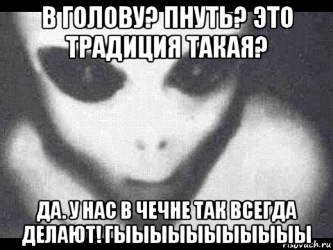 в голову? пнуть? это традиция такая? да. у нас в чечне так всегда делают! гыыыыыыыыыыы