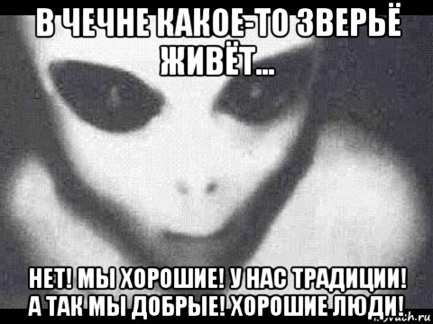 в чечне какое-то зверьё живёт... нет! мы хорошие! у нас традиции! а так мы добрые! хорошие люди!