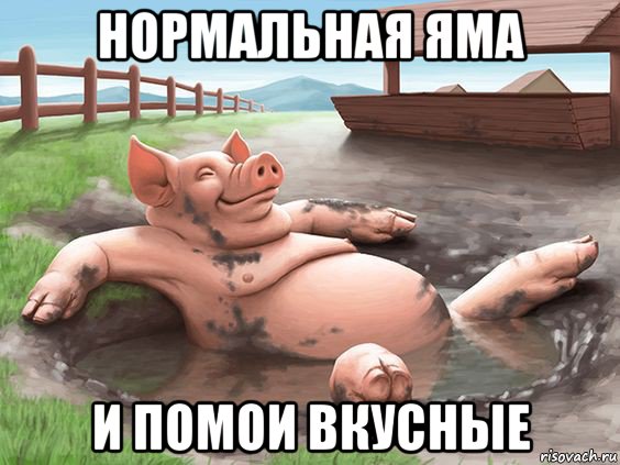 нормальная яма и помои вкусные