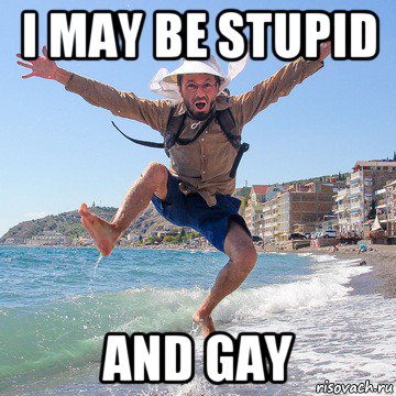 i may be stupid and gay