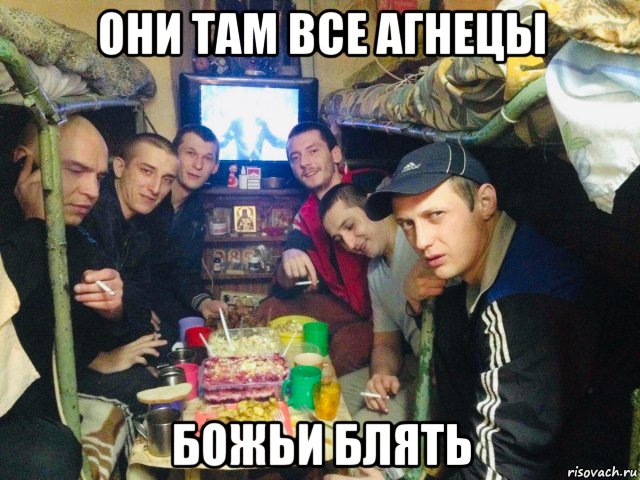 они там все агнецы божьи блять, Мем Дно