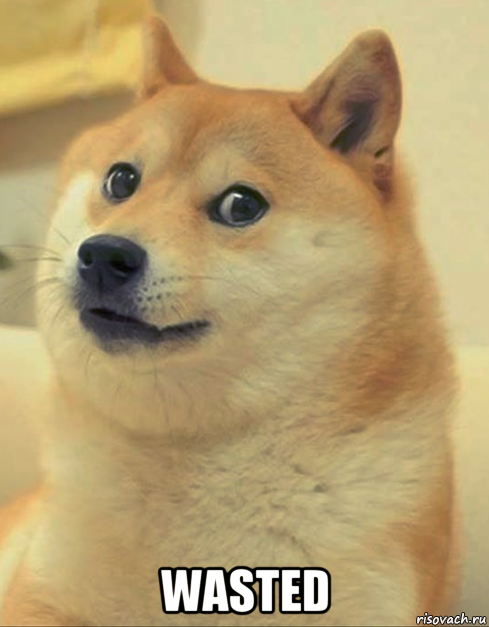  wasted, Мем doge woof