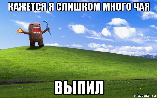 кажется я слишком много чая выпил, Мем Domo против xp