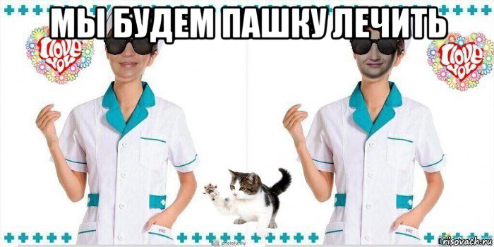 мы будем пашку лечить , Мем Две медсестры и ветеринарных врача