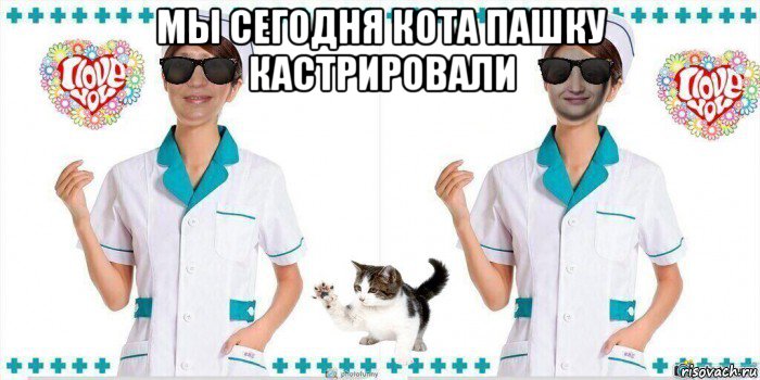 мы сегодня кота пашку кастрировали , Мем Две медсестры и ветеринарных врача