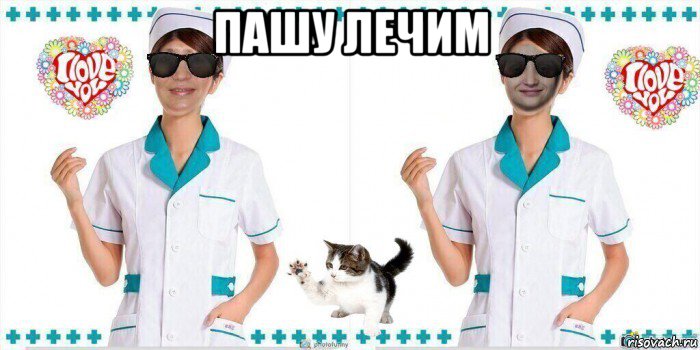 пашу лечим , Мем Две медсестры и ветеринарных врача