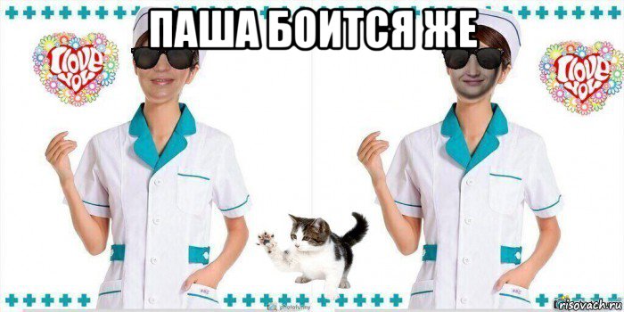 паша боится же , Мем Две медсестры и ветеринарных врача