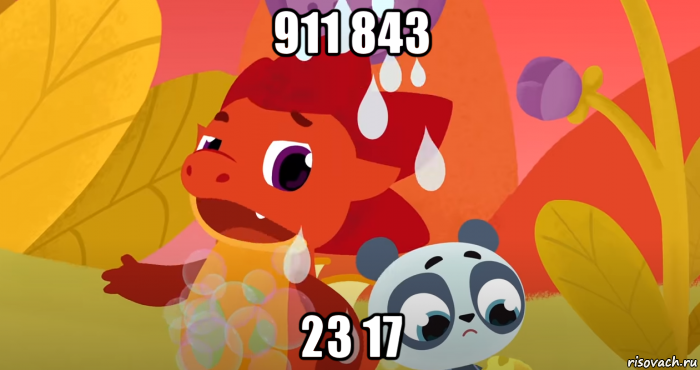 911 843 23 17