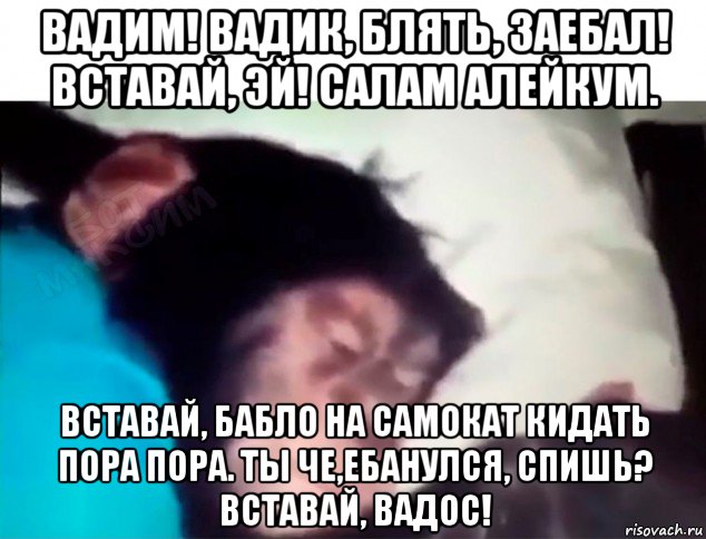 вадим! вадик, блять, заебал! вставай, эй! салам алейкум. вставай, бабло на самокат кидать пора пора. ты че,ебанулся, спишь? вставай, вадос!, Мем Ержан