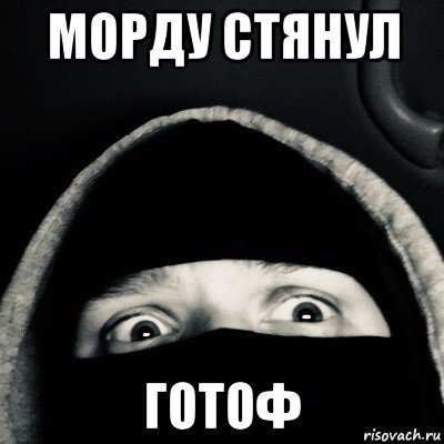 морду стянул готоф, Мем Фрэшик