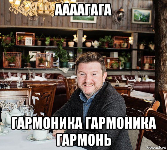 аааагага гармоника гармоника гармонь, Мем Гармония