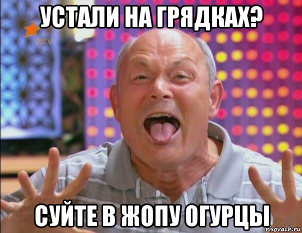 устали на грядках? суйте в жопу огурцы, Мем Геннадий малахов