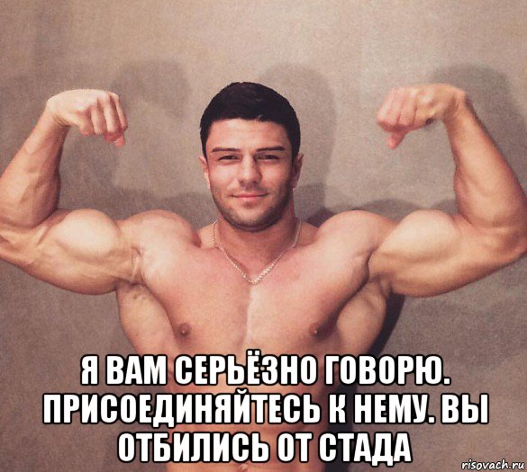  я вам серьёзно говорю. присоединяйтесь к нему. вы отбились от стада, Мем Герой