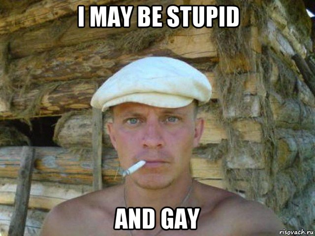 i may be stupid and gay, Мем Гопатическое педерастическое