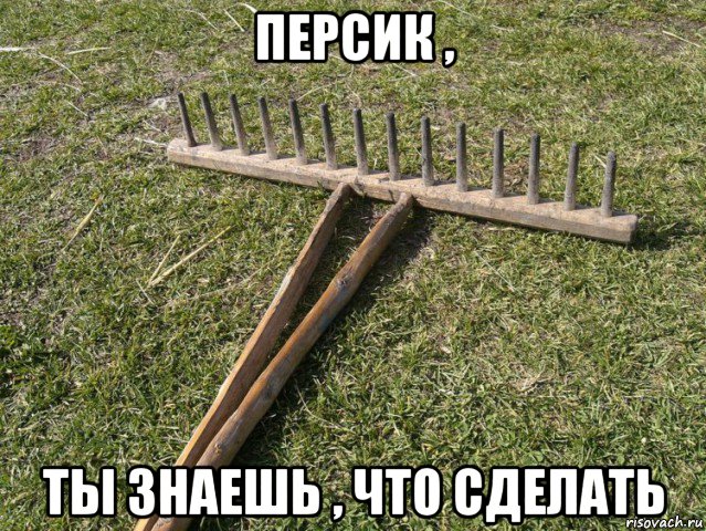 персик , ты знаешь , что сделать, Мем Грабли