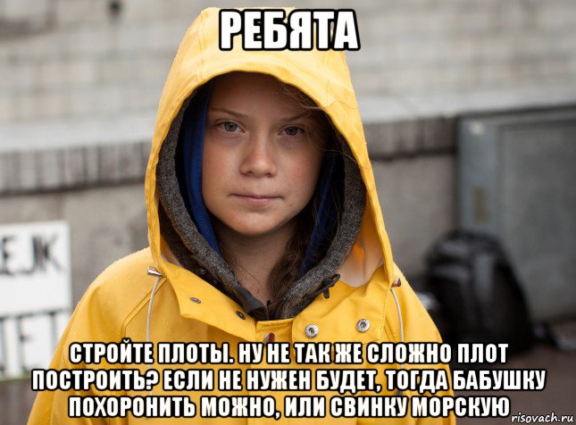 ребята стройте плоты. ну не так же сложно плот построить? если не нужен будет, тогда бабушку похоронить можно, или свинку морскую, Мем Greta